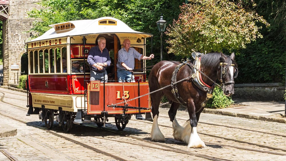 Crich Tramway Horse Day