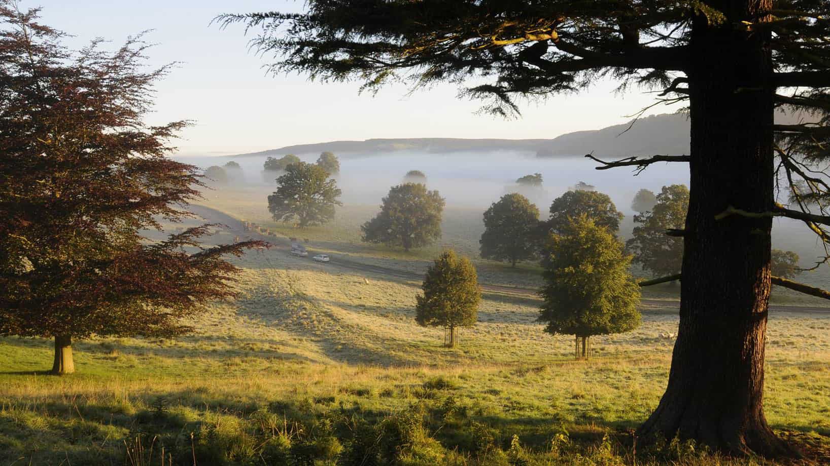 Seasonal Chatsworth walks